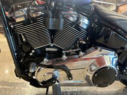 2025 Harley-Davidson Street Bob 117 (FXBB) Softail Purple