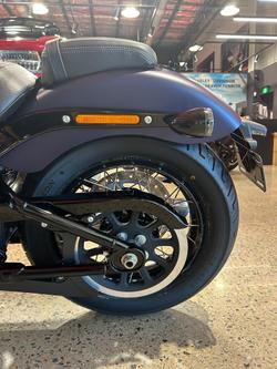 2025 Harley-Davidson Street Bob 117 (FXBB) Softail Purple