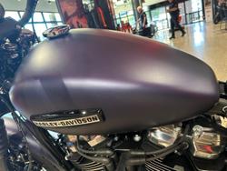 2025 Harley-Davidson Street Bob 117 (FXBB) Softail Purple