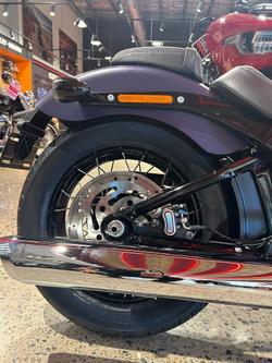 2025 Harley-Davidson Street Bob 117 (FXBB) Softail Purple