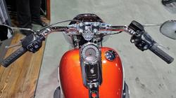 2025 Harley-davidson FLFB FAT BOY (117) Whisky Fire/ Black