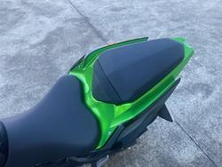 2021 Kawasaki Z400 Green