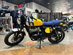 2025 Royal Enfield 2025 ROYAL ENFIELD 650CC INTERCEPTOR BEAR 650 WILD HONEY