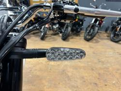 2025 Royal Enfield 2025 ROYAL ENFIELD 650CC INTERCEPTOR BEAR 650 WILD HONEY
