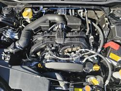 2025 Subaru Forester 2.5i Luxury Special Edition S5 MY24 AWD Crystal Black