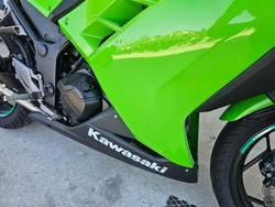 2013 Kawasaki NINJA 300 Green