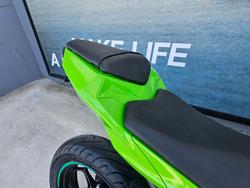 2013 Kawasaki NINJA 300 Green