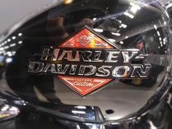 2025 Harley-Davidson Breakout 117 (FXBR) Softail