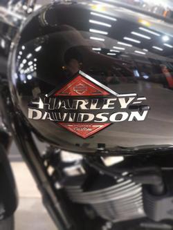 2025 Harley-Davidson Breakout 117 (FXBR) Softail