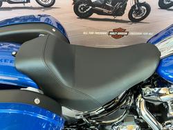 2025 HARLEY-DAVIDSON FXLRST LOW RIDER ST (117)