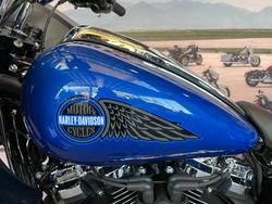 2025 HARLEY-DAVIDSON FXLRST LOW RIDER ST (117)