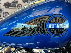 2025 HARLEY-DAVIDSON FXLRST LOW RIDER ST (117)