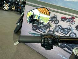 2014 Harley-davidson FLSTFB FAT BOY LO Silver/Black