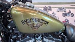 2016 Harley-davidson XL883 IRON 883 Green