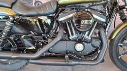 2016 Harley-davidson XL883 IRON 883 Green