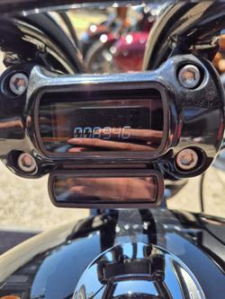 2024 Harley-Davidson
                Street Bob 114 (FXBBS) 
