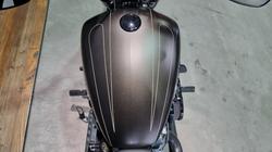 2021 Harley-davidson FXBRS BREAKOUT (114) Gray