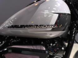 2024 Harley-Davidson Breakout 117 (FXBR) Softail