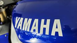1998 Yamaha YZF-R1 R1 Blue