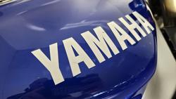 1998 Yamaha YZF-R1 R1 Blue