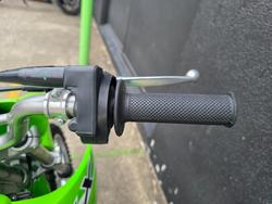 2024 Kawasaki KLX110RL GREEN