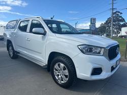 LDV T60