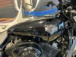 2019 Harley-Davidson Street 500 (XG500) Street Black