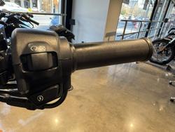 2019 Harley-Davidson Street 500 (XG500) Street Black
