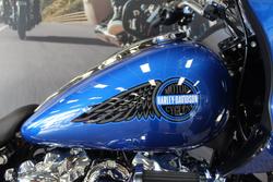 2025 Harley-davidson FXLRST LOW RIDER ST (117) BLUE BURST