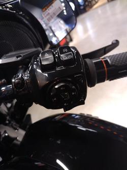 2025 Harley-Davidson CVO Street Glide 121 (FLHXSE) Touring