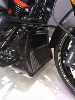 2025 Harley-Davidson CVO Street Glide 121 (FLHXSE) Touring