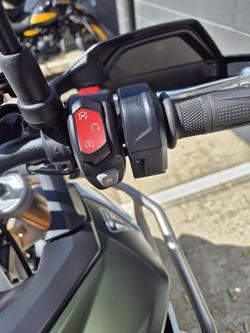 2025 Triumph Tiger 900 Rally Pro Tiger Green