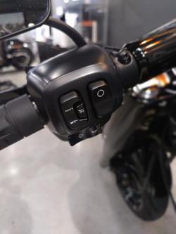 2025 Harley-Davidson Fat Boy 117 (FLFB) Softail Black