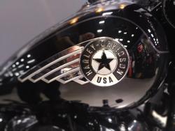 2025 Harley-Davidson Fat Boy 117 (FLFB) Softail Black