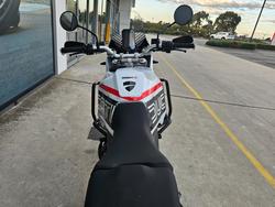 2024 DUCATI DESERTX RALLY White