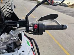 2024 DUCATI DESERTX RALLY White
