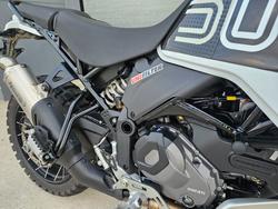 2024 DUCATI DESERTX RALLY White