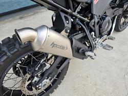 2024 DUCATI DESERTX RALLY White