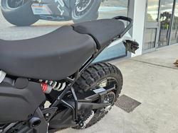 2024 DUCATI DESERTX RALLY White