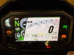 2024 Kawasaki NINJA 1000SX RED