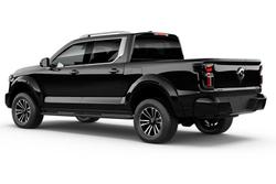 2025 Great Wall Cannon