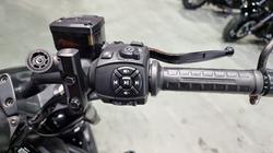 2022 Harley-davidson RH1250S SPORTSTER S Black