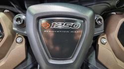2022 Harley-davidson RH1250S SPORTSTER S Black