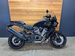 Harley-Davidson RA1250S PAN America Special