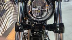 2025 HARLEY-DAVIDSON FXBR BREAKOUT (117)