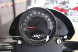 2025 Harley-davidson FXLRS LOW RIDER S (117)