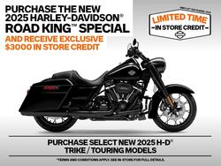 Harley-Davidson FLHRXS Road King Special