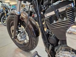2018 Harley-Davidson XL1200C 1200 CUSTOM BROWN