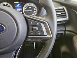 2025 Subaru Forester 2.5i-L S5 MY24 AWD Brilliant Bronze