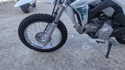 2025 Honda CRF110F White